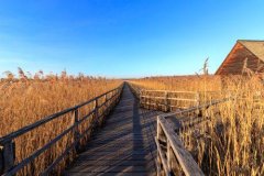 如何在电脑屏幕上录制视频？