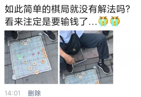 “大师的棋局着实难到我了，当真无解吗？”哈…注定要输钱了吗