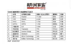 胡润中国10强消费电子企业：万亿华为，大于9强之和