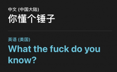 iOS 14翻译当场翻车：居然还会说脏话