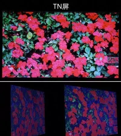 TN屏、IPS屏的优缺点及其差异