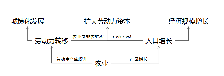 内卷、二元到内生：农业视角下中国经济发展的逻辑和机遇