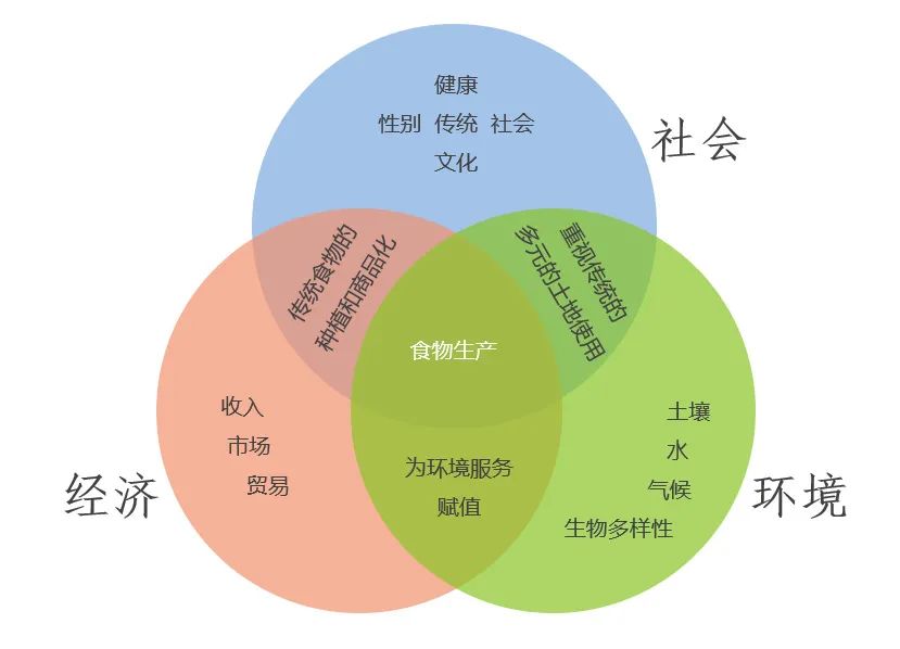 内卷、二元到内生：农业视角下中国经济发展的逻辑和机遇