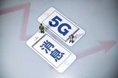 电信联通联合集采5G消息系统：消息模块容量约6000万户