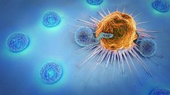 一项研究称人体针对新冠免疫力可持续将近几年