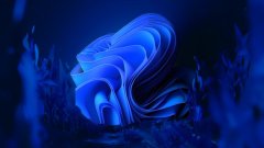  2 月份的 Windows11 使用报告 2 月份的 Windows 使用报告