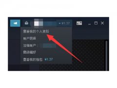 Steam交易链接在哪里查看