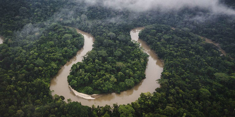 Amazon Rainforest Reaching 'Tipping Point' of Dieback, Study Finds |  PEOPLE.com