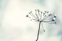 拼多多助力100元要多少人？提现100元技巧