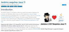 怎么办？Jenkins 宣布将仅支持 Java 11 及以上版本！
