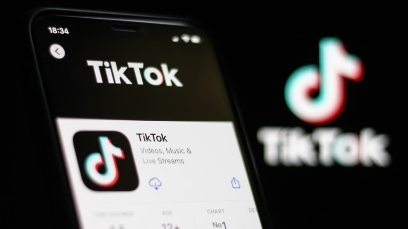 图1：TikTok