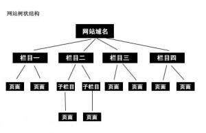 网站结构