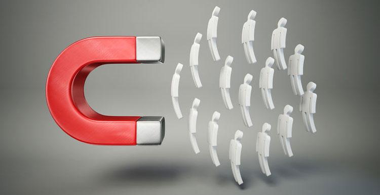 域名对seo的影响有哪些（中文域名对seo有影响吗）