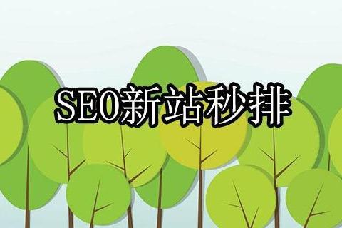 快速提高网站排名方案（网站seo站内优化方案）