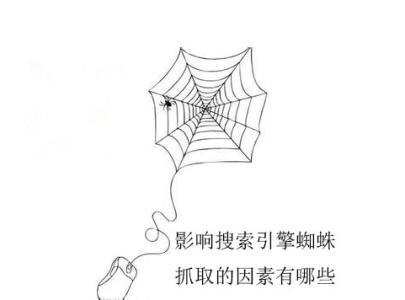 蜘蛛不来网站爬取怎么解决?（网站显示蜘蛛抓取异常的原因有哪些）
