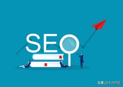 seo如何做网站优化,网站优化排名技巧!
