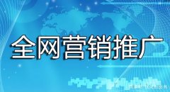 seo网站优化推广怎么做-SEO网站优化步骤和技巧有哪些？