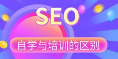 SEO越来越受到网站优化的重视