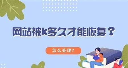 揭露网站过度优化的危害（从网页每个标签开始排查）