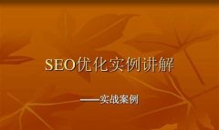 SEO搜索引擎优化go SEO公司优化技术