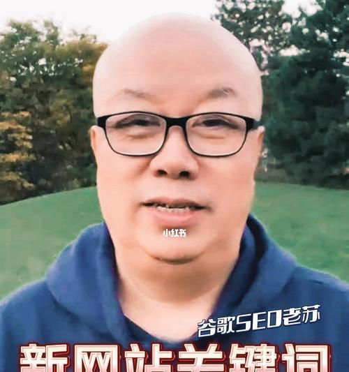 如何快速提升网站排名？（从选择到内容优化，一步步提升SEO效果）