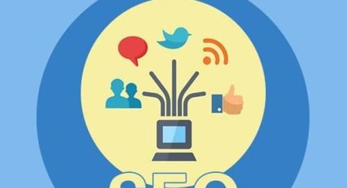 如何通过SEO提高网站排名（让您的网站走向成功）