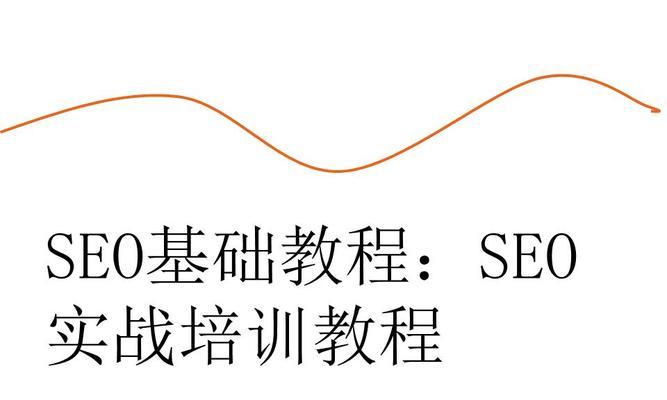 常用的网站SEO诊断方法解析（了解这些方法，让你的网站SEO变得更好）