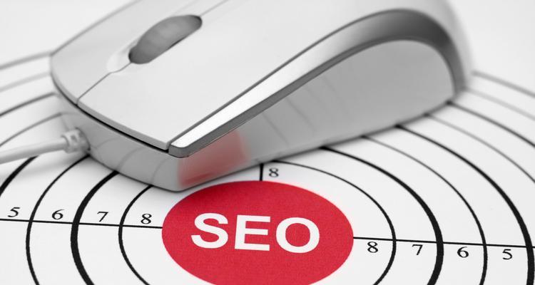 全面解析网站SEO优化的主要内容（为您的网站吸引更多的流量）