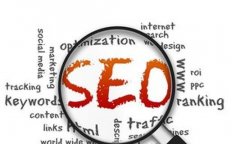 网站SEO优化的重要环节技术把我， 网站的选取方法@