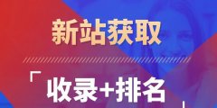 新网站为什么只收录主页为主题~！