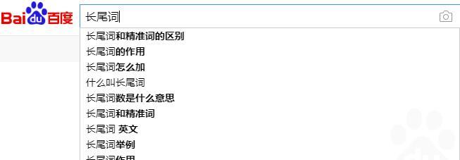 长尾的有效利用(让您的网站更具竞争力) 长尾的有效利用(让您的网站更具竞争力)